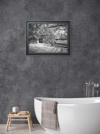 Forest Light Photography – Woodland Scene – Black & White Art Print - Byeutifull Art
